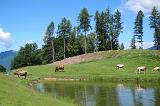 06-2015 RIFUGIO VENINI - 01